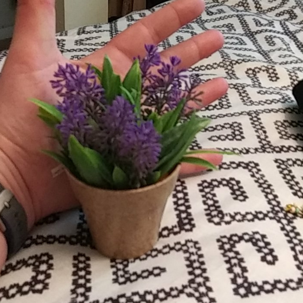 Decor - Picture 2 of 2